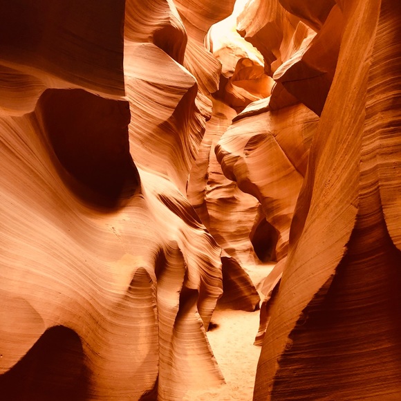 Meet your Posher, Miriam - Picture 1 of 2